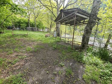 Torpaq sahələrinin satışı: Meşəlik ərazidə təbii gözəlliyə sahib torpaq sahəsi ve ev - Yaşıl — 13