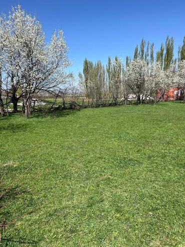 Продажа участков: 10 соток, Для строительства, Красная книга at lalafo.kg — 5 Продажа участков: 10 соток, Для строительства, Красная книга — 5