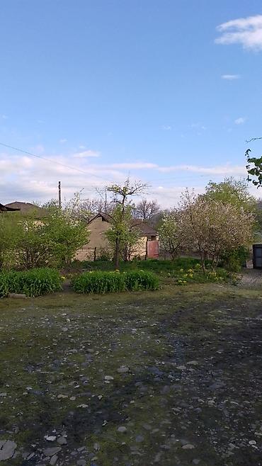 eletde torpaq satilir: 20 sot, Kənd təsərrüfatı, Mülkiyyətçi — 2
