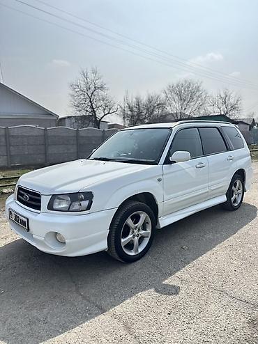 Subaru: Subaru Forester: 2003 г., 2 л, Автомат, Бензин, Универсал — 4