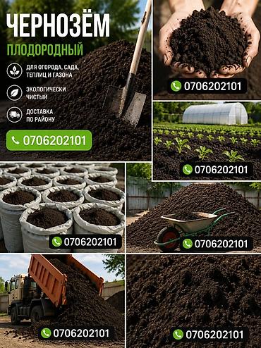 местный грунт: Чернозём плодородный - Подходит для огорода, сада, теплиц и газонов - — 1
