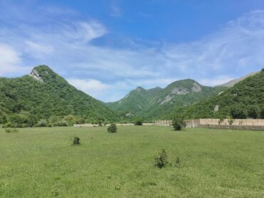 torpaq satilir: 5 sot, Tikinti, Maklerlər narahat etməsin, Kupça (Çıxarış)