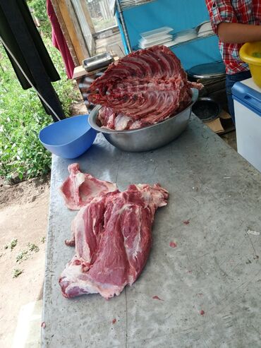 конина мясо: МАРИНОВАНОЕ МЯСО для ШАШЛЫКОВ на ЗАКАЗ в Бишкеке и Канте.ЦЕНЫ РАЗНЫЕ