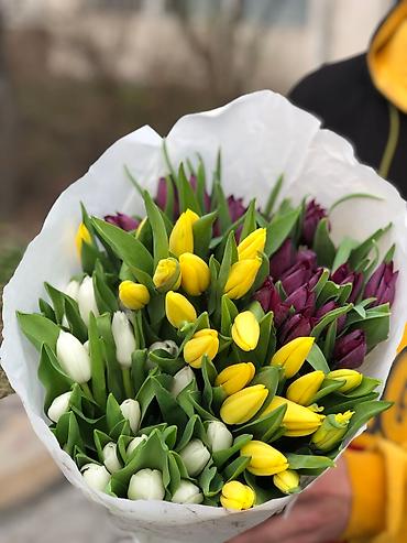 Букеты из живых цветов: Тюльпаны оптом только до 6марта ! Свежие хрустящие сортовые — 6