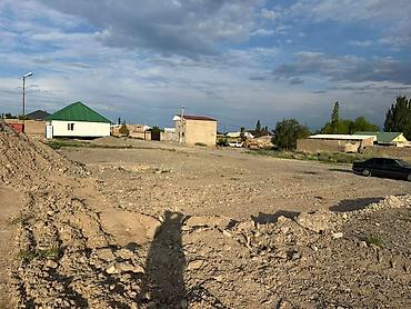 палочки для шашлыка: 4500 соток, Для строительства, Красная книга — 4