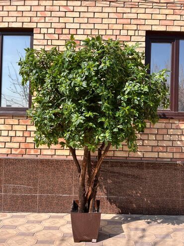 Декоративные цветы: Искусственные деревья и цветы — долговечный и стильный декор без — 4