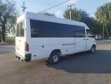 короткий спринтер: Mercedes-Benz Спринтер: 2003 г., 2.9 л, Механика, Дизель, Бус — 2