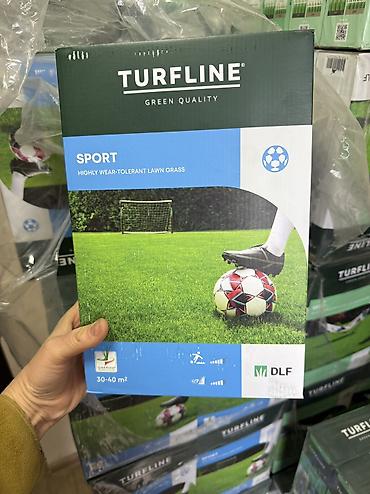 Другие виды семян и саженцев: Семена газона Газон Травка Любой сорт Клевер, спорт, мятлик — 20