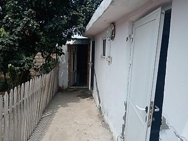sabunçu kiraye heyet evleri: Samux Rayon tatlı kəndidə imamzadəyə yaxın yerdə Həyətyanı sahəsi olan — 4