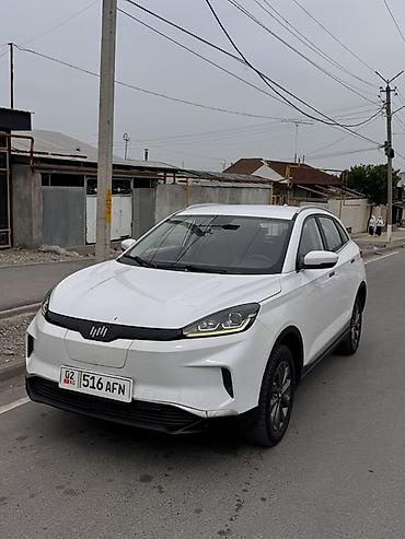 Weltmeister: Weltmeister EX5, 2020 г. — 3