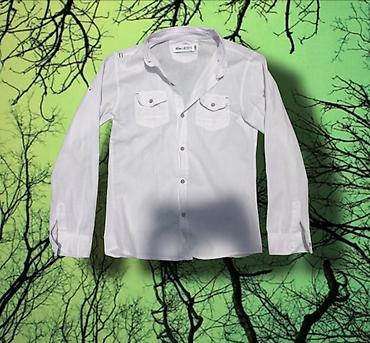 Рубашки: Мужская рубашка, S, M, Lacoste, Новый, цвет - Белый — 1