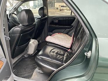 Lexus: Lexus RX: 2003 г., 3 л, Автомат, Газ, Внедорожник — 6