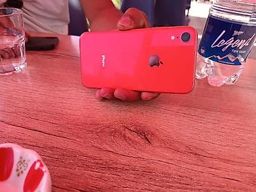iphone xр: IPhone XR, цвет Coral (оранжево‑розовый) - Корпус: стекло/алюминий — 1