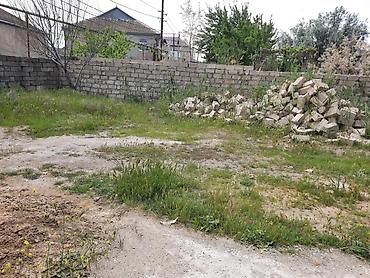 Torpaq sahələrinin satışı: 3 sot, Bələdiyyə -da lalafo.az — 9 Torpaq sahələrinin satışı: 3 sot, Bələdiyyə — 9