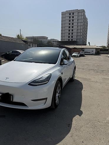 Tesla: Tesla Model Y: 2021 г., Электромобиль, Кроссовер — 3