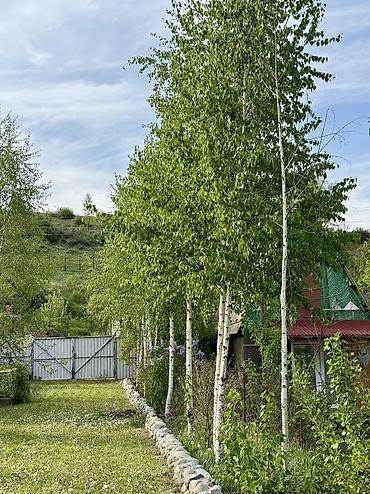 Продажа дач: Продаётся дача рядом с селом Горная Маевка(дачи Норус) площадь участка — 13