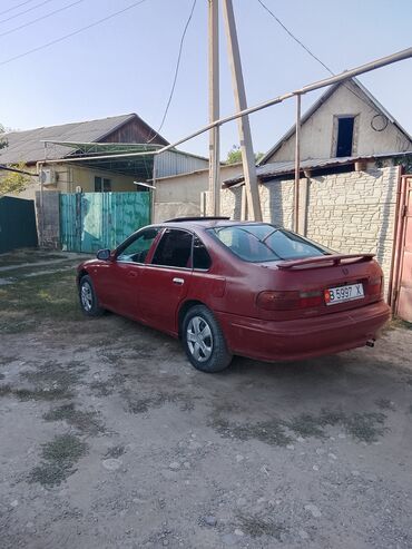 аварийные хонда аккорд: Honda Accord: 1995 г., Седан