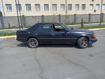 Mercedes-Benz: Mercedes-Benz 220: 1991 г., 2.9 л, Механика, Дизель, Седан