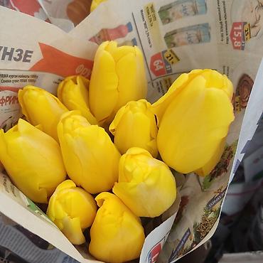 Букеты из живых цветов: Открыта бронь на тюльпаны оптом и розницу 2026 года к 8 марта — 10