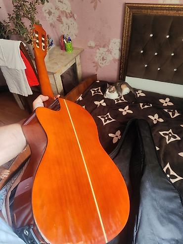 gitara klasik: Elektro-klasik gitara – kəsikli (cutaway) korpus, 6 sim, yumşaq çexol — 3