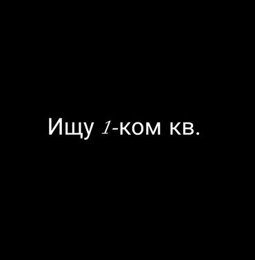 комната берилет бишкек: 1 бөлмө, Менчик ээси, Чогуу жашоосу жок