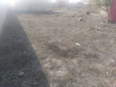 Torpaq sahələrinin satışı: Mülkiyyətçi, Kupça (Çıxarış) — 2