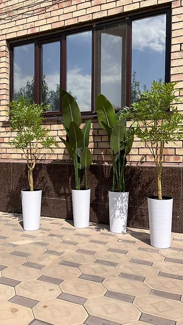 солнечные лампы: Instagram:Mayram.decor.kg Искусственные растения в кашпо для дома — 5