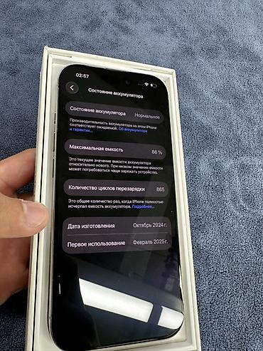 mini iphone: IPhone 16 Pro, Б/у, 256 ГБ, Серебристый, Коробка, 86 % — 4