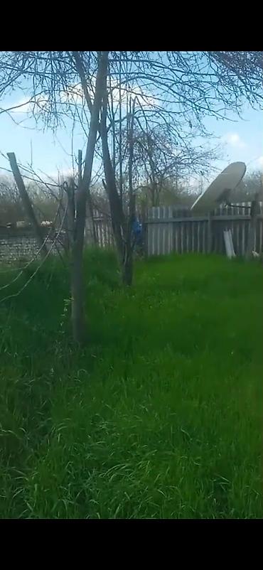 Torpaq sahələrinin satışı: Kənd təsərrüfatı — 1