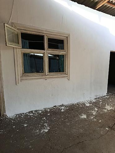 нужен прораб: Белю дома с наружы с нутри, шпаклевка покраска и другие ремонты — 10