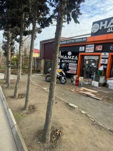 Uzunmüddətli kirayə evlər: 240 kv. m, 7 otaqlı, Kombi, Qaz, İşıq — 8