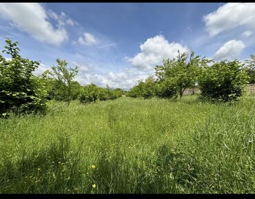 Torpaq sahələrinin satışı: 22 sot, Mülkiyyətçi, Kupça (Çıxarış) -da lalafo.az — 11 Torpaq sahələrinin satışı: 22 sot, Mülkiyyətçi, Kupça (Çıxarış) — 11