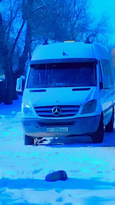 Mercedes-Benz: Mercedes-Benz Sprinter: 2008 г., 2.2 л, Механика, Дизель, Бус