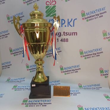 Статуэтки: ✅ Кубки спортивные ✅Бесплатная табличка ✅Бесплатный дизайн ✅Упаковка — 18