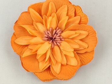 Pin, condition - Perfect