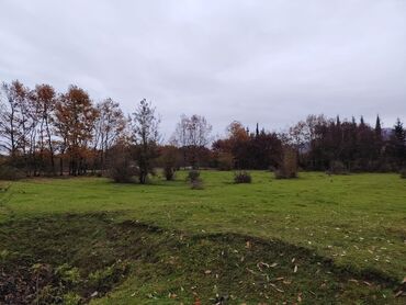 Torpaq sahələrinin satışı: Kənd təsərrüfatı — 9