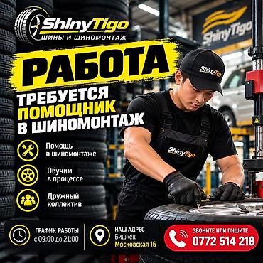 Вакансия: помощник в шиномонтаж ShinyTigo (шины и шиномонтаж)
