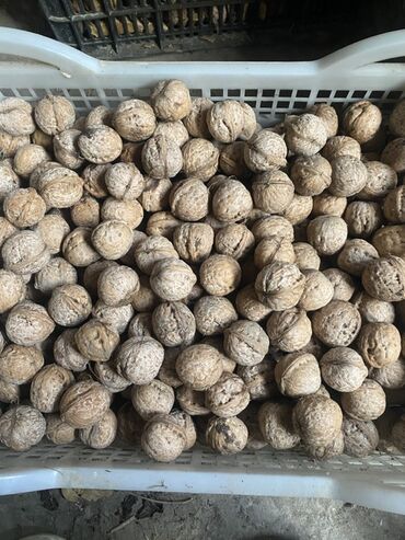 перепелинное яйцо: Грецкий орех в скорлупе - Цельный орех, природная сушка - Крупный