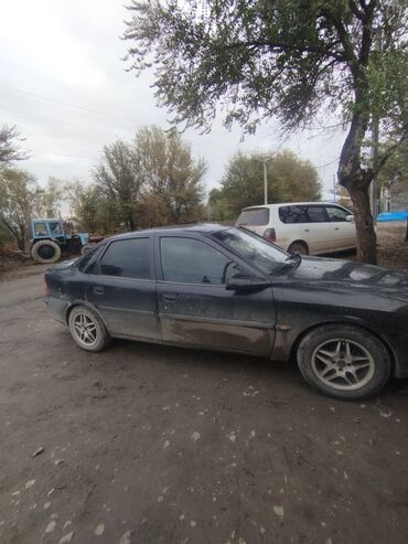 мерс 124 авто: Opel Vectra: 1998 г., 1.6 л, Механика, Бензин