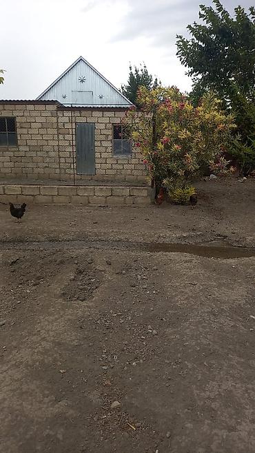 ev xacmaz: 4 otaqlı, 120 kv. m, Təmirsiz — 7
