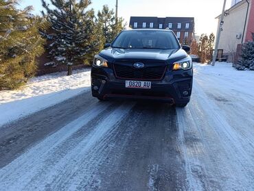 машина до 250000: Subaru Forester: 2019 г., 2.5 л, Автомат, Бензин, Кроссовер