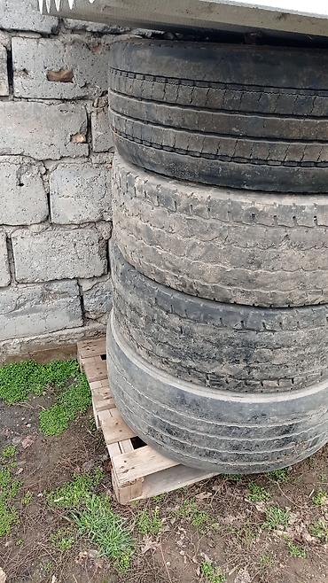 Шины: Грузовые шины (под борта/прицеп/тягач) - Количество: партия на фото — 8