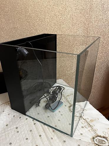 akvarium satışı: Hazir Okean akvariumu satilir 40x40 a samp sistemidi motoru ustundedi — 4