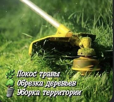Мы занимаемся благоустройством и озеленением территории: * посадка
