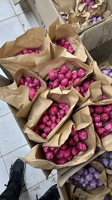 Букеты из живых цветов: Здравствуйте! 🌷 У вас есть прекрасная возможность заказать тюльпаны к — 2