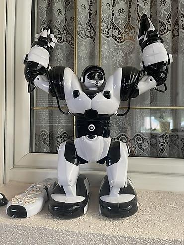 control plus trake: Interaktivni robot – WowWee Robosapien (sa daljinskim upravljačem) - — 2