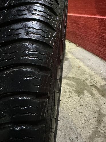 Gume i felne: Na prodaju zimske gume 205/60 R16, finske proizvodnje (Made in na lalafo.rs — 6 Gume i felne: Na prodaju zimske gume 205/60 R16, finske proizvodnje (Made in — 6