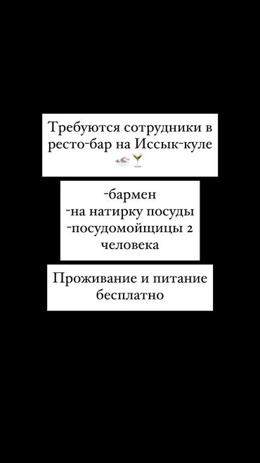 ищу работу бишкек официант: Требуется Бармен, Оплата Ежемесячно, 1-2 года опыта