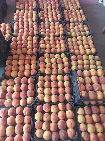 meyve terevez dukani: Şaftalı – bağdan təzə, çeşidlənmiş və qutulanmış - Məhsul: aromatik — 2