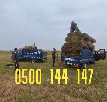фронтальный погрузчик 3 куб: Porter, Курулуш таштандыларын чыгаруу, Регион боюнча, Шаар ичинде, жүк ташуучу жумушчусу менен